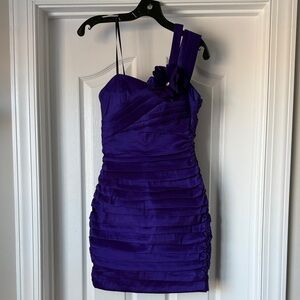 Elegant Purple Women's Dress